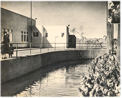 Klik voor de volgende foto