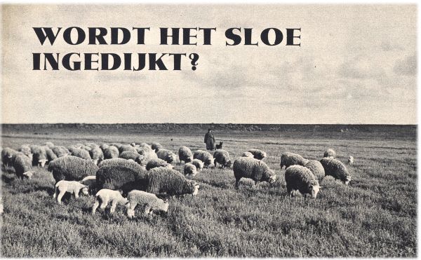 Klik voor de volgende foto