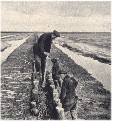 Klik voor de volgende foto