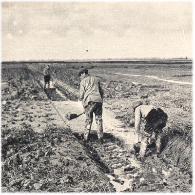 Klik voor de volgende foto