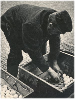Klik voor de volgende foto