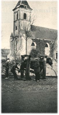 Klik voor de volgende foto