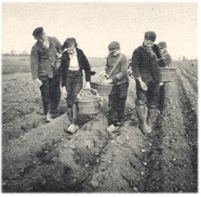 Klik voor de volgende foto