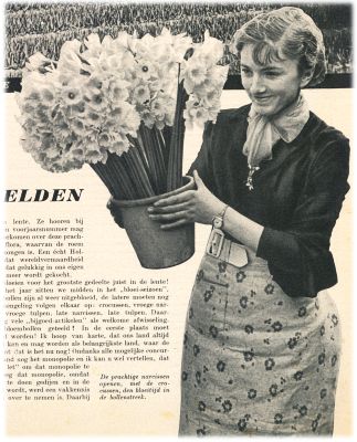Klik voor de volgende foto