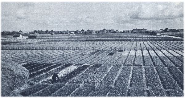 Klik voor de volgende foto