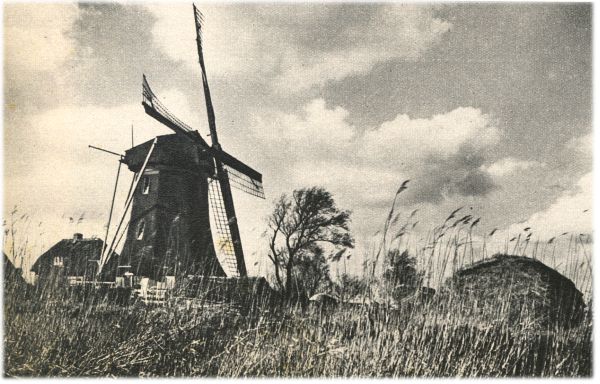 Klik voor de volgende foto