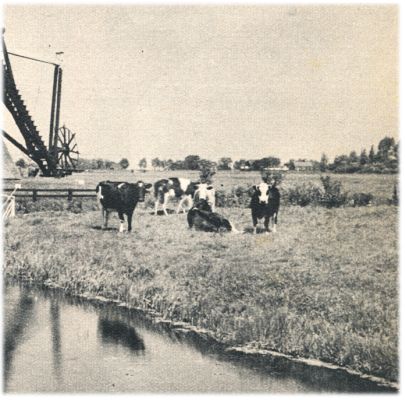 Klik voor de volgende foto