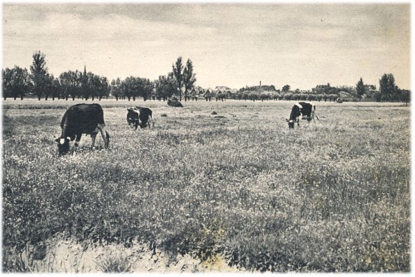 Klik voor de volgende foto