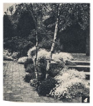 Klik voor de volgende foto