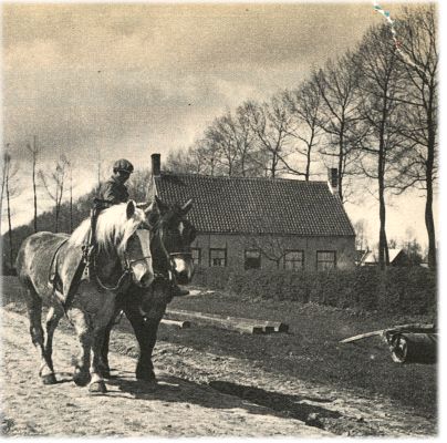 Klik voor de volgende foto