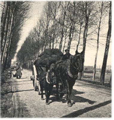 Klik voor de volgende foto