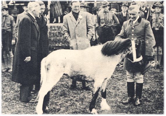 Klik voor de volgende foto