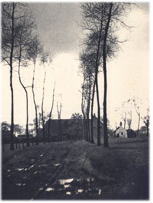 Klik voor de volgende foto