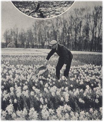 Klik voor de volgende foto