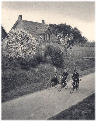 Klik voor de volgende foto