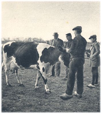 Klik voor de volgende foto