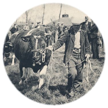 Klik voor de volgende foto