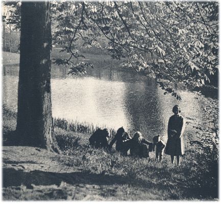 Klik voor de volgende foto