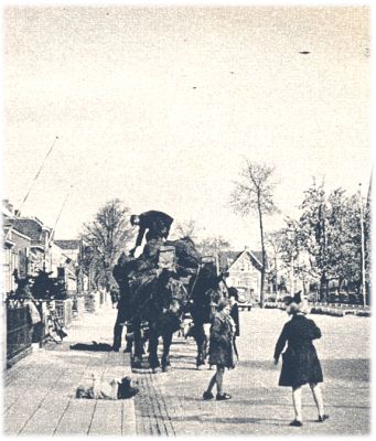 Klik voor de volgende foto