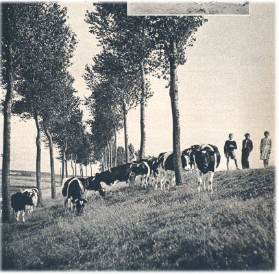 Klik voor de volgende foto