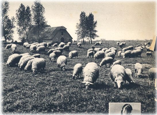 Klik voor de volgende foto