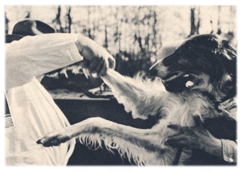 Klik voor de volgende foto