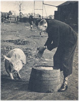 Klik voor de volgende foto
