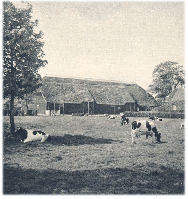 Klik voor de volgende foto