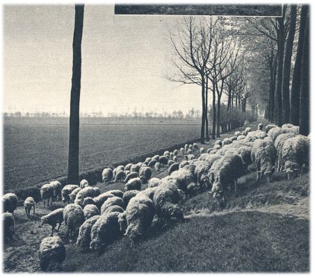 Klik voor de volgende foto