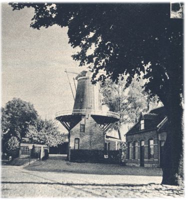 Klik voor de volgende foto