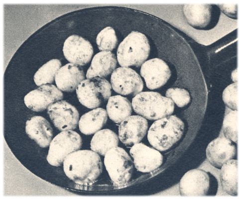 Klik voor de volgende foto