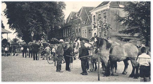 Klik voor de volgende foto