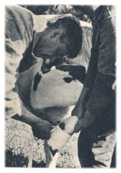 Klik voor de volgende foto