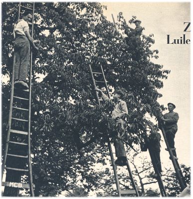 Klik voor de volgende foto