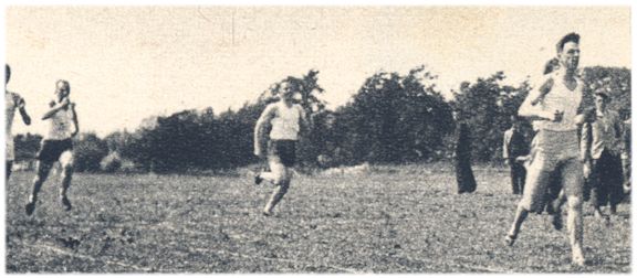 Klik voor de volgende foto