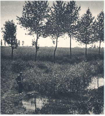 Klik voor de volgende foto