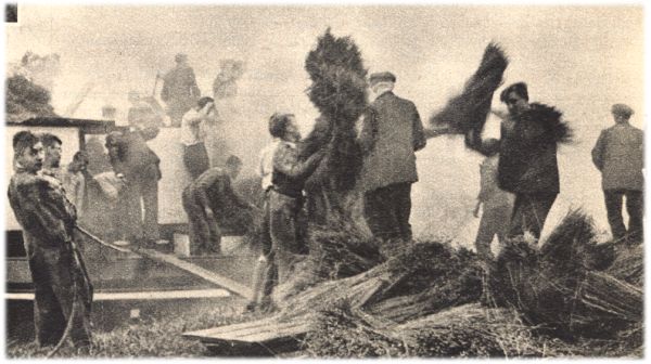 Klik voor de volgende foto