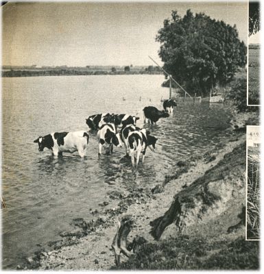 Klik voor de volgende foto