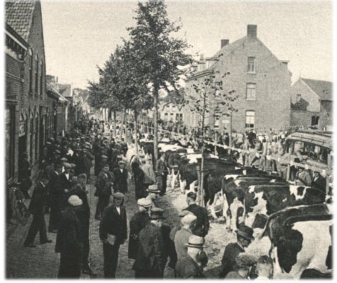 Klik voor de volgende foto