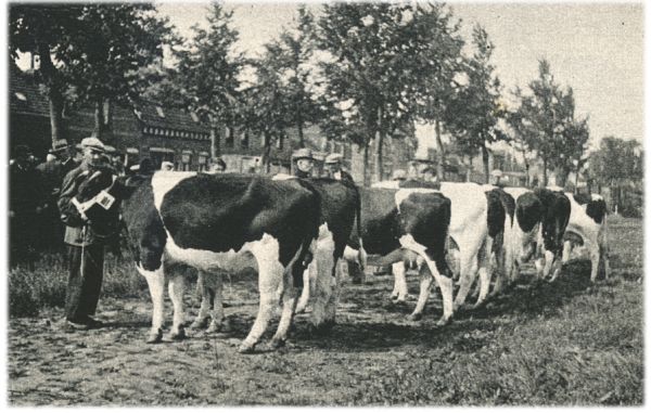 Klik voor de volgende foto