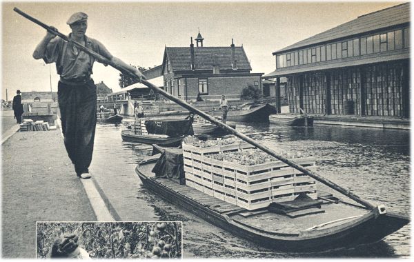 Klik voor de volgende foto