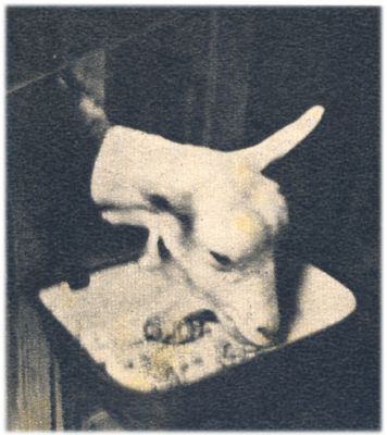 Klik voor de volgende foto