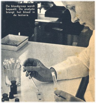 Klik voor de volgende foto