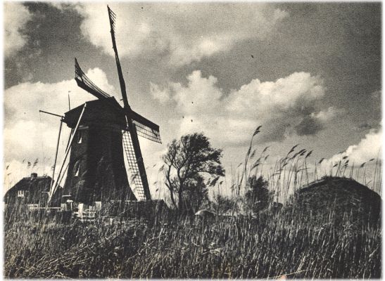 Klik voor de volgende foto