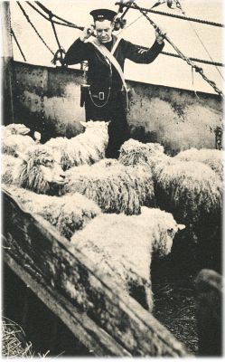 Klik voor de volgende foto