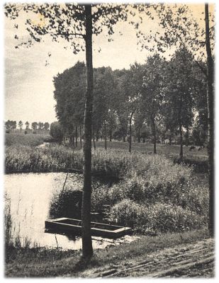 Klik voor de volgende foto