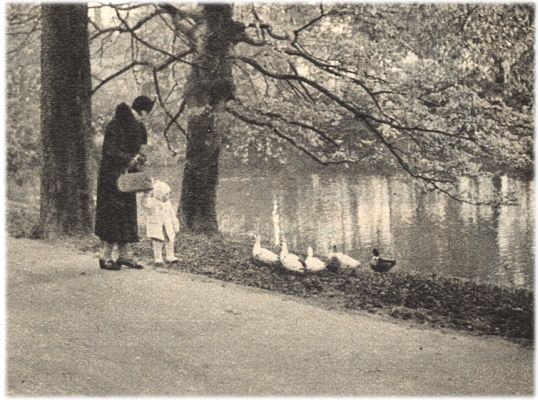 Klik voor de volgende foto