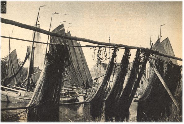 Klik voor de volgende foto