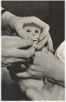 Klik voor de volgende foto