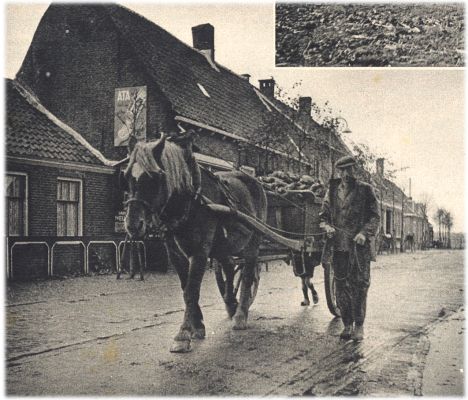 Klik voor de volgende foto